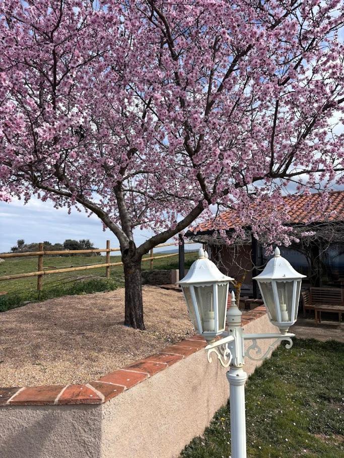 Casa Rural Explora, Pastores 외부 사진